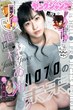 小日子一共多少集